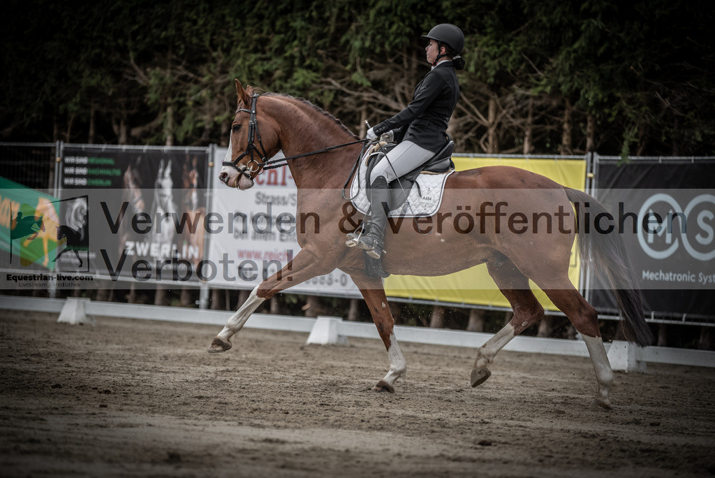 DSC_9649 | equestrian-live-com