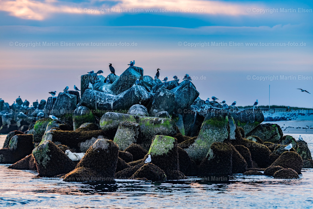 Helgoland Düne Terapoden_ELS_3679030818 | Helgoland - Aufnahmedatum: 03.08.2018, Aufnahmehöhe:  m, Koordinaten:  - , Bildgröße: 8073 x  5382 Pixel - Copyright 2018 by Martin Elsen, Kontakt: Tel.: +49 157 74581206, E-Mail: info@schoenes-foto.deSchlagwörter:Schleswig-Holstein,Landkreis Pinneberg,Düne,Hochseeinsel,Börteboote,Meer,Küste,Halunder,Oberland,Unterland,Strand,Seehunde,Robben,Lange Anna,Felsen,Roter Felsen,Luftbild,Luftbilder,Bastölpel - Realisiert mit Pictrs.com