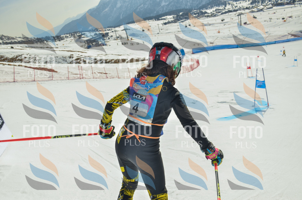 _ELE4406 | holidayphoto