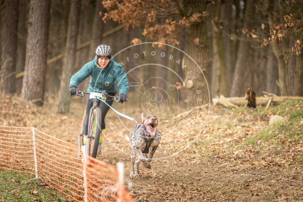 Pfotenfotografie_DV3A3929 | Hundefotografie, Tierfotograf, Pfotenfotografie, Fotoshooting Hund, Hunde Portrait, Hundesport, Hundeportraits, Heideshooting, Hunde, Sportfotograf, Hundefotograf, Turnierhundsport, THS,  - Realisiert mit Pictrs.com