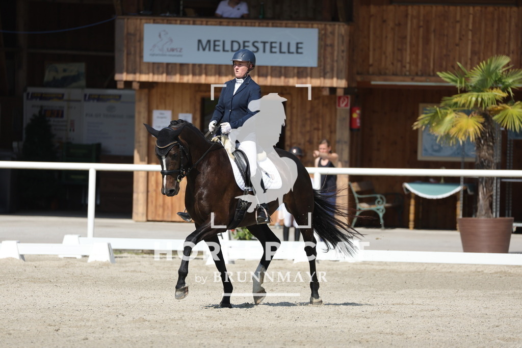 0P6A0378 | Willkommen bei Brunnmayr - Design & Fotografie – Ihrem Spezialisten für Reitturniere und Pferdeveranstaltungen in Oberösterreich, Salzburg und Bayern! Seit über 17 Jahren sind wir leidenschaftlich dabei.