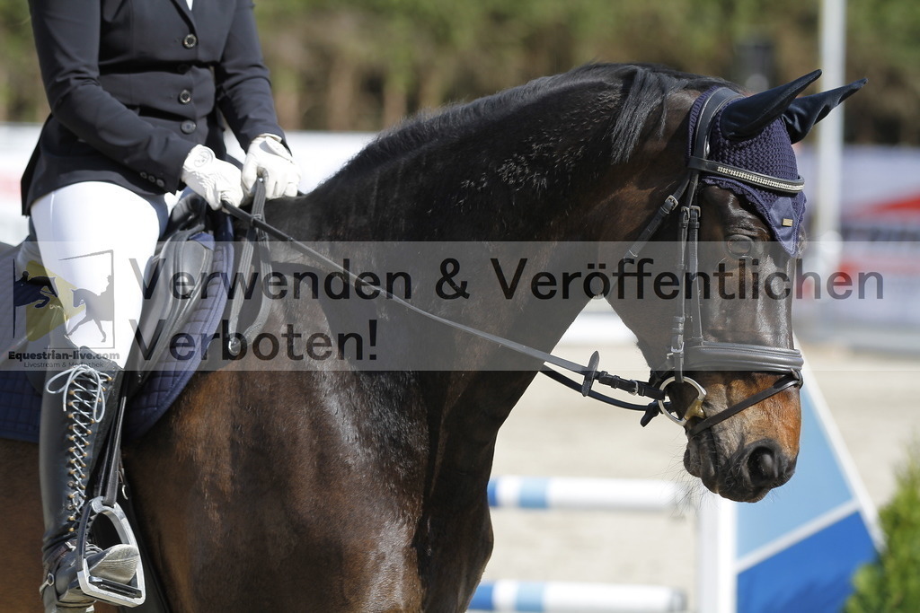 _MG_8000 | equestrian-live-com