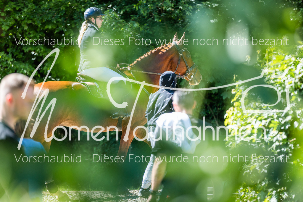 HH-Randmomente-009-2 | MomenTaufnahmen Pferdesportfotos