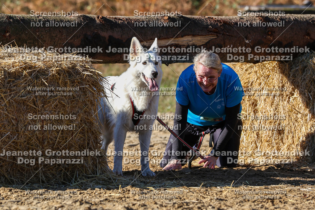 Dog Paparazzi - Strongdog 10-25-2589 | Dog Paparazzi Jeanette Grottendiek Fotografie & Videografie - Realisiert mit Pictrs.com
