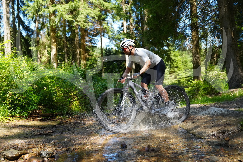 FC101784 | Fotogalerie der Treibjagd im Dunkelwald - Dein MTB Etappenrennen im Erzgebirge - Realisiert mit Pictrs.com
