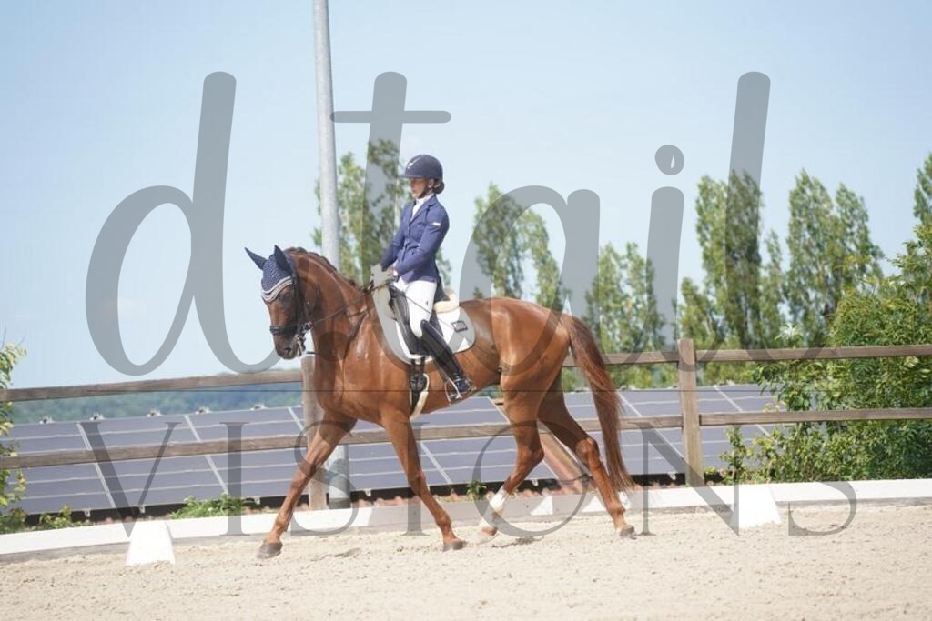 tbhsamstag (720) | d.tail Visions - Shop - Realisiert mit Pictrs.com