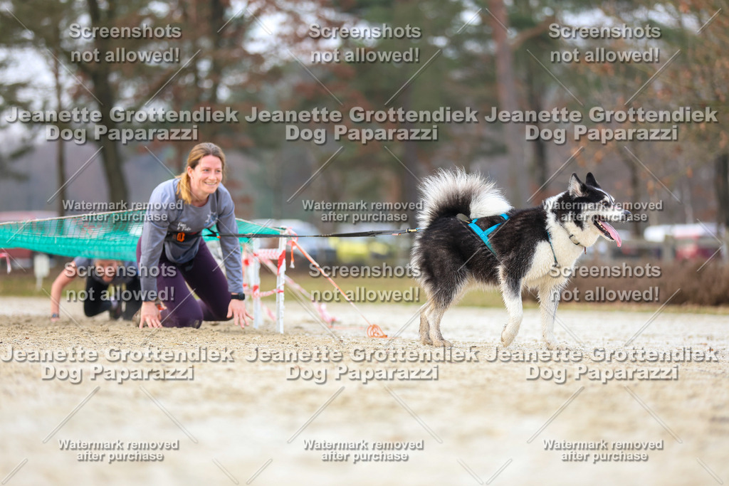 Dog Paparazzi - Strongdog North Mrz26-4062 | Dog Paparazzi Jeanette Grottendiek Fotografie & Videografie - Realisiert mit Pictrs.com