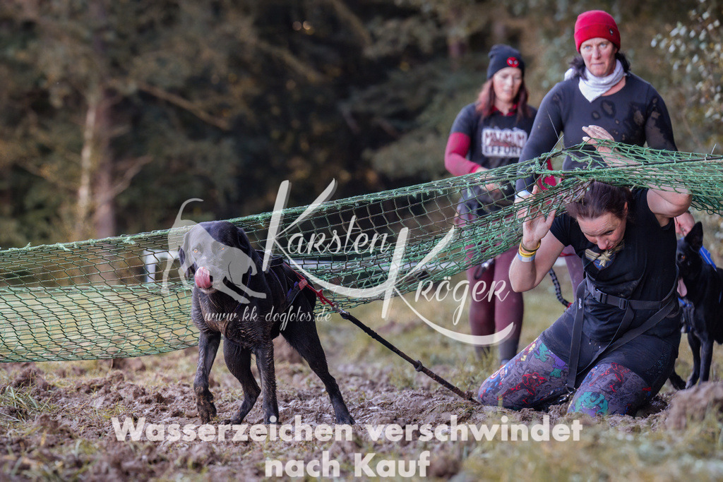 1008_ZZ90455 | kk-dogfotos