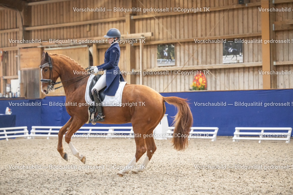 _D5A4414 | Emotionale Pferde- & People-Fotografie rund um Heidelberg, Leimen & Umgebung. Natürliche Fotos von Pferd, Mensch & Familie. Jetzt Termin sichern!