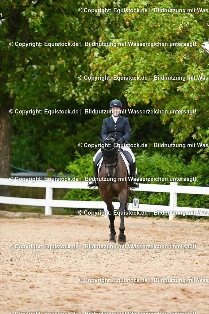 20230716_01_Dressurprüfung Kl.M_0404 | equistock