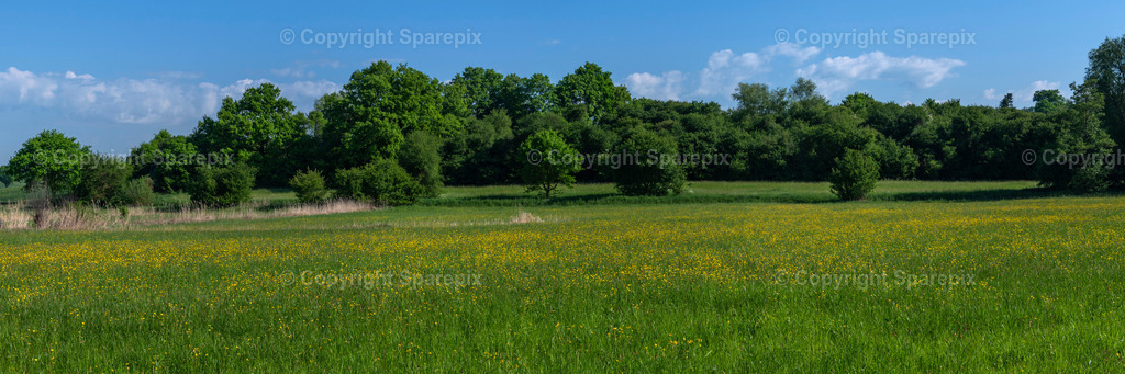 PAN_Outlook_Spring_Meadow13 | sparepix - Realisiert mit Pictrs.com