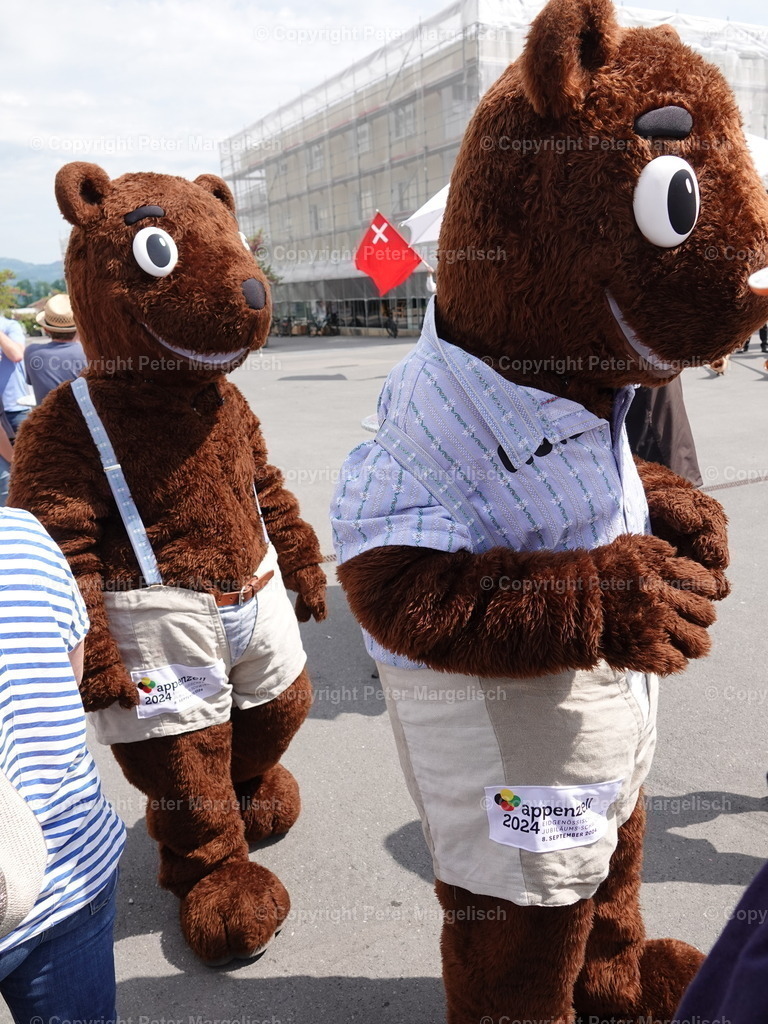 DSC06787 | Schwingen - Realisiert mit Pictrs.com