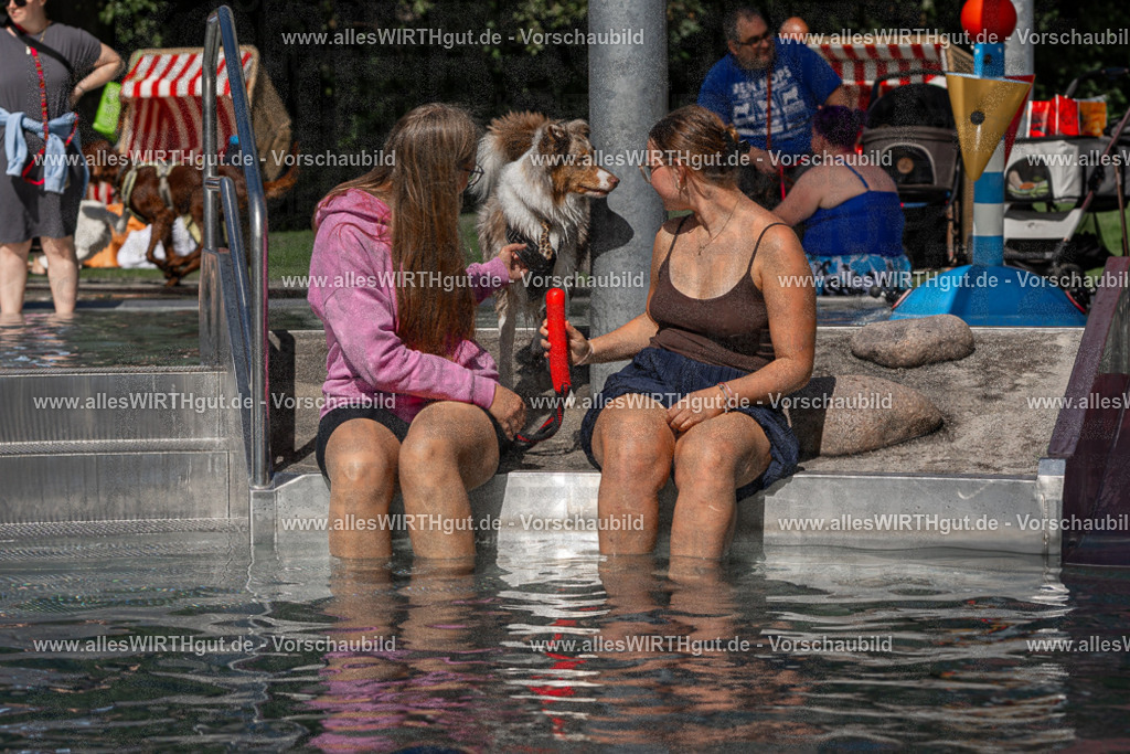Hundeschwimmen_Volksbad_2026-allesWIRTHgut_Tierfotografie-2609061403-FAY06872 | Professionelle Tierfotografie in Mönchengladbach von Daniel Wirth (allesWIRTHgut). Liebevolle & natürliche Bilder von Hunden & Katzen für unvergessliche Erinnerungen.