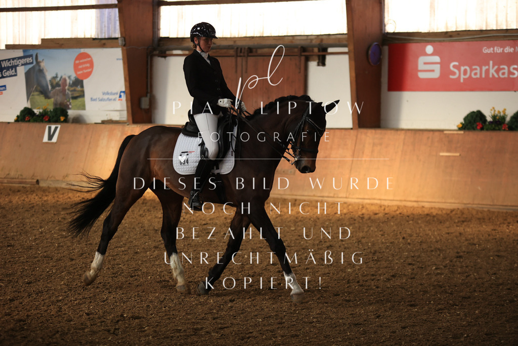 IMGT1085 | pl-fotografie