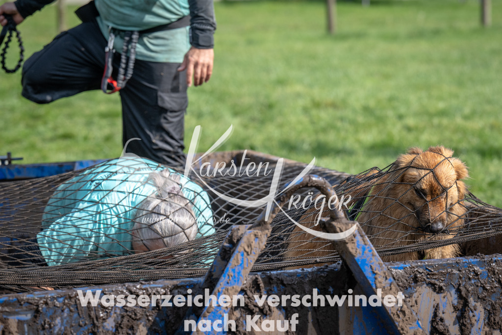 1444_ZZ93411 | kk-dogfotos