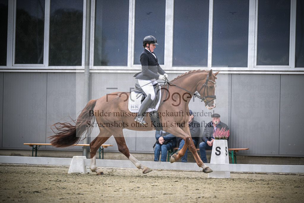 DOS_0891 | Entdecke hochwertige Reitturnierfotos von Foto Oger. Professionell, emotional und authentisch – jetzt Lieblingsmomente im Shop bestellen.Deutschlandweite Turnierfotografie. - Realisiert mit Pictrs.com
