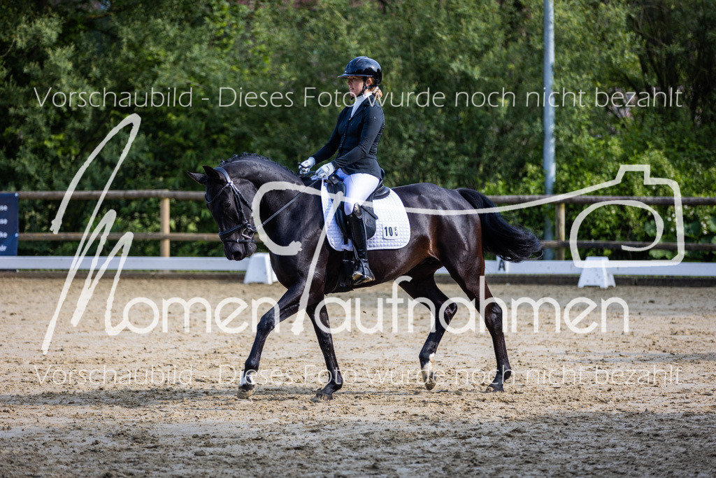 Donop24-A-Dre-110 | MomenTaufnahmen Pferdesportfotos