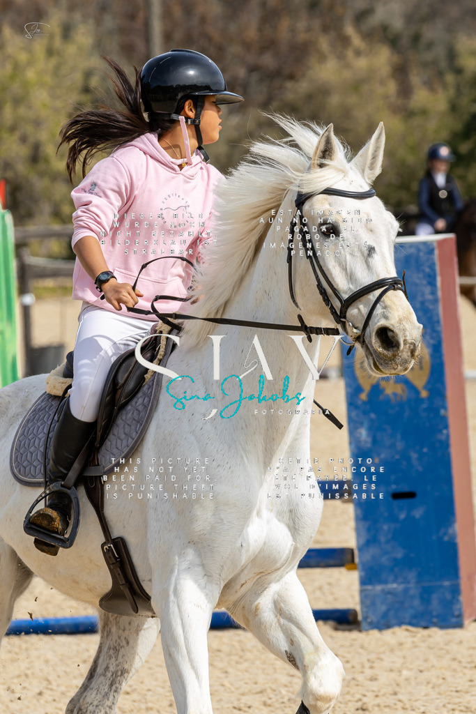 IMG_3338 | s-jay-photography - Realisiert mit Pictrs.com