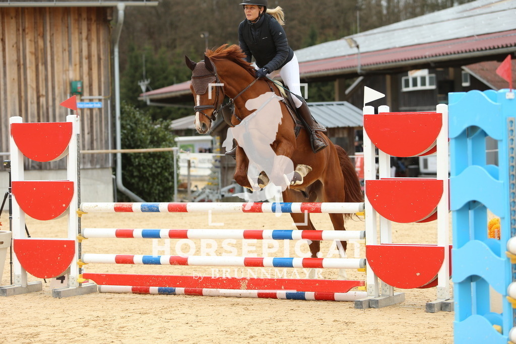 DL2Q2111 | Willkommen bei Brunnmayr - Design & Fotografie – Ihrem Spezialisten für Reitturniere und Pferdeveranstaltungen in Oberösterreich, Salzburg und Bayern! Seit über 17 Jahren sind wir leidenschaftlich dabei.