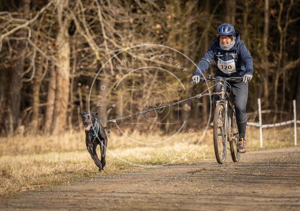 DV3A4369 | Hundefotografie, Tierfotograf, Pfotenfotografie, Fotoshooting Hund, Hunde Portrait, Hundesport, Hundeportraits, Heideshooting, Hunde, Sportfotograf, Hundefotograf, Turnierhundsport, THS,  - Realisiert mit Pictrs.com