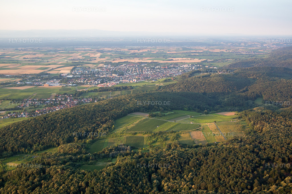 Luftbild: Haardtrand Wolfsteig in Pleisweiler-Oberhofen im Bundesland Rheinland-Pfalz in Deutschland. Foto: IMG_091842.jpg vom 16.07.2016 durch Werner Riehm/FLY-FOTO.de