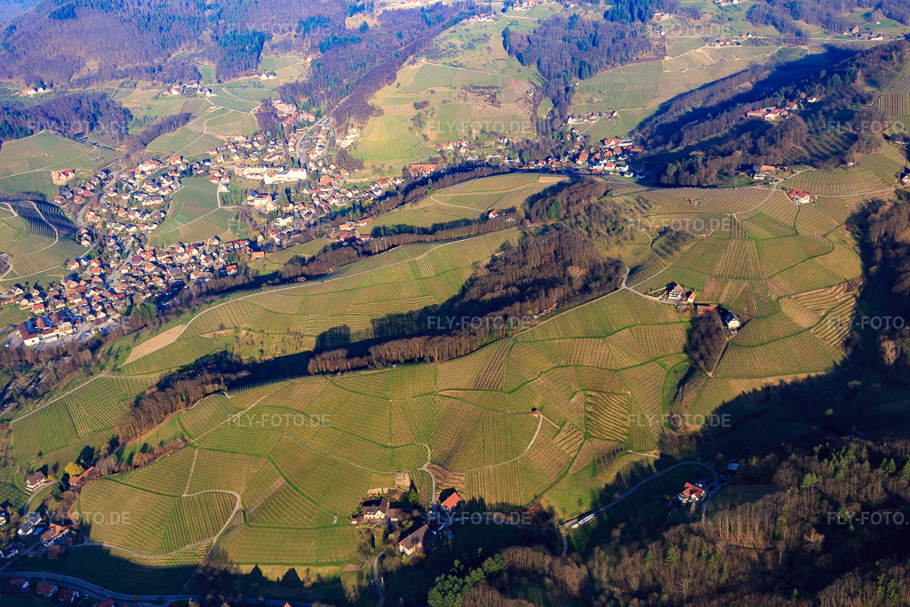 Luftbild: Badische Weinberge im Achertal im Ortsteil Büchelbach in Sasbachwalden im Bundesland Baden-Württemberg in Deutschland. Foto: IMG_097706.jpg vom 16.03.2017 durch Werner Riehm/FLY-FOTO.de