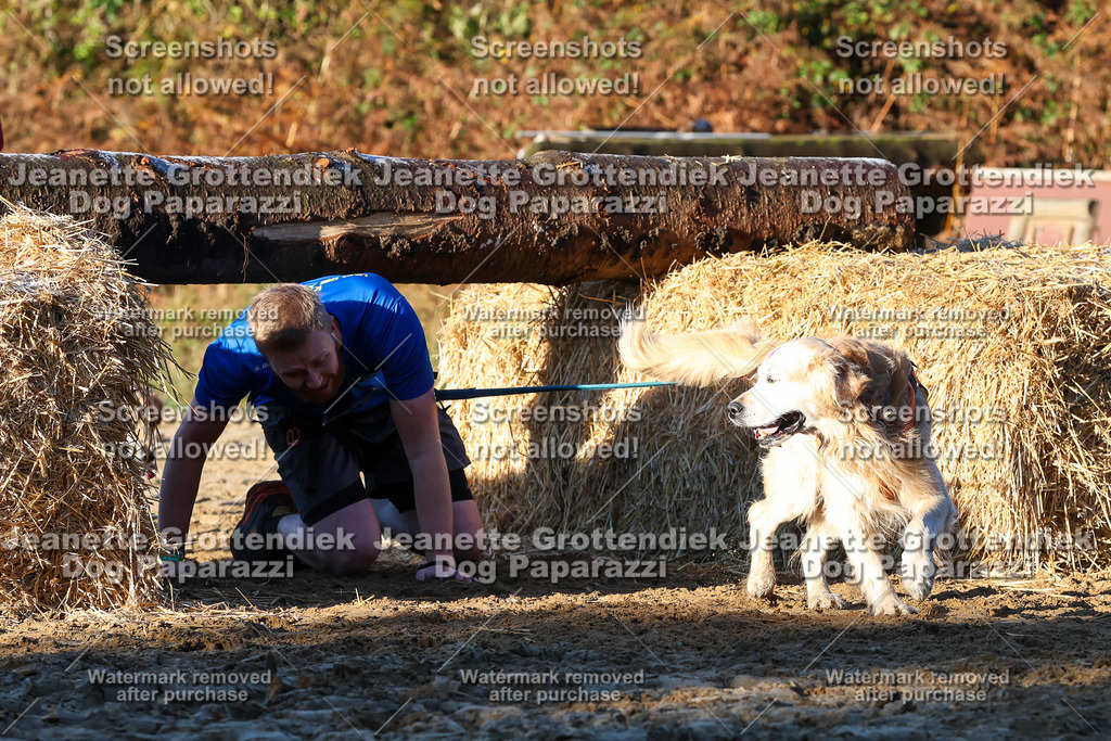 Dog Paparazzi - Strongdog 10-25-879 | Dog Paparazzi Jeanette Grottendiek Fotografie & Videografie - Realisiert mit Pictrs.com