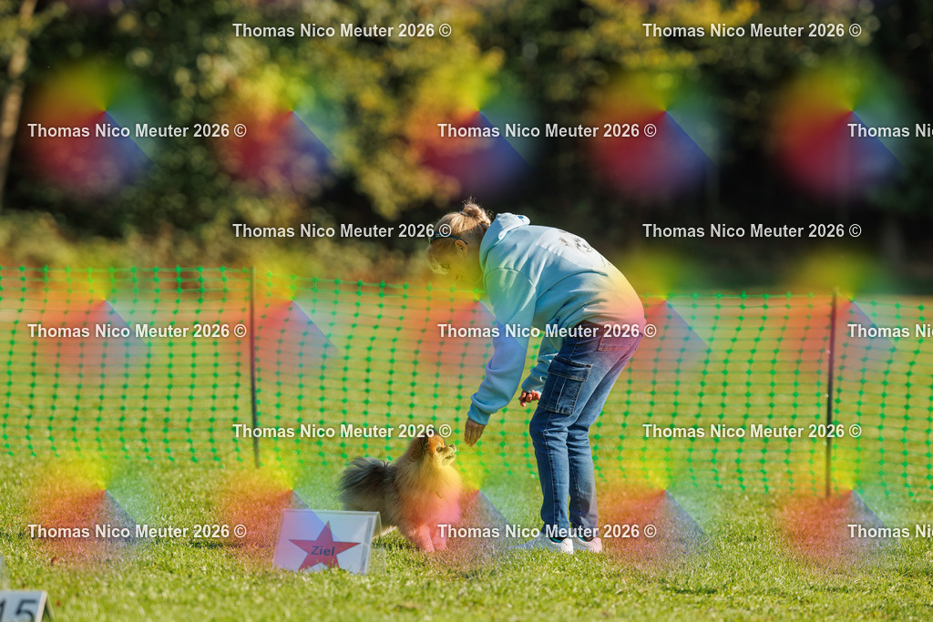 Thomas_Nico_Meuter(C)_04. Oktober 2026_223A0648 | Bild von Thomas Nico Meuter - Realisiert mit Pictrs.com