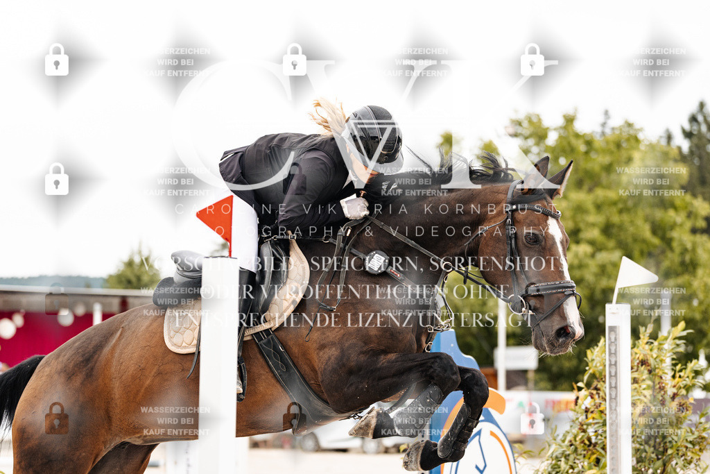CK906352 | Turnierfotografie Pferdefotografie Trier Rheinland-Pfalz Pferdesport Reitsport Tierfotografie Sportfotografie Pferdevideo Pferdevideografie Equestrianvideography equestrianphotography  - Realisiert mit Pictrs.com