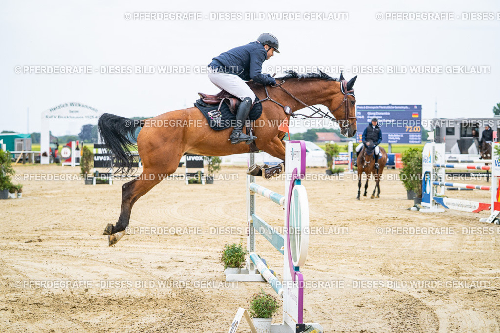 DSC09043 | Pferdegrafie