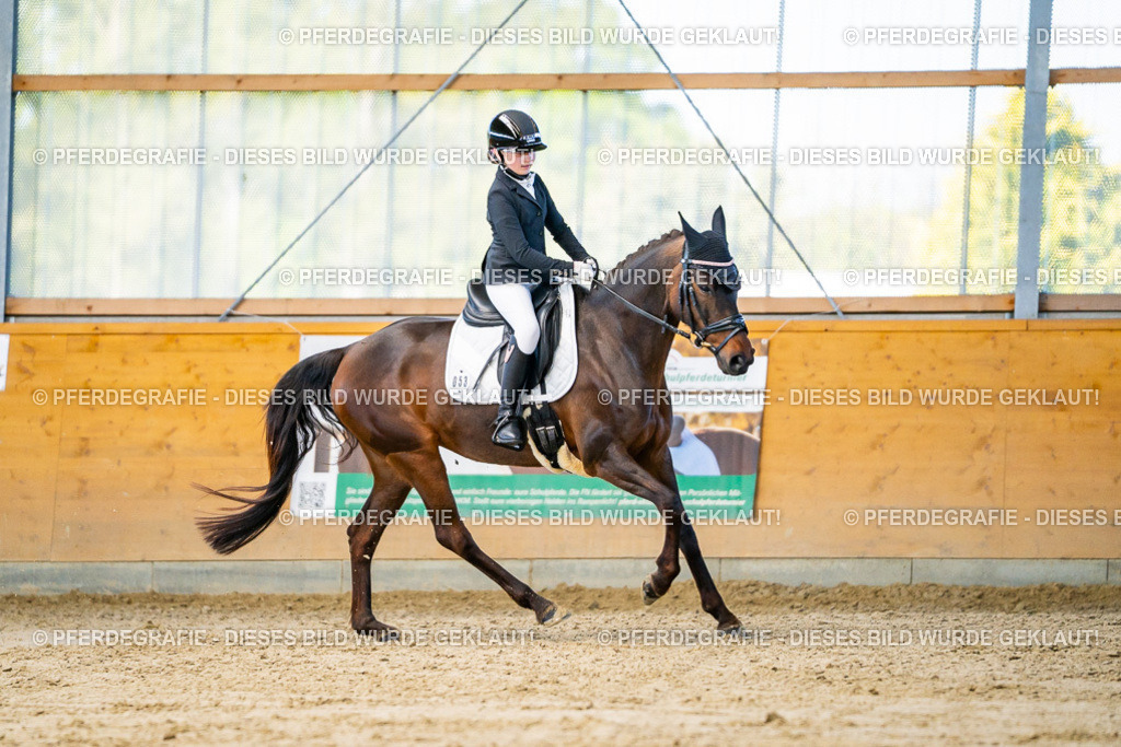 DSC06354 | Pferdegrafie