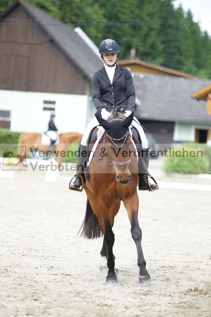 DSC05461 | equestrian-live-com