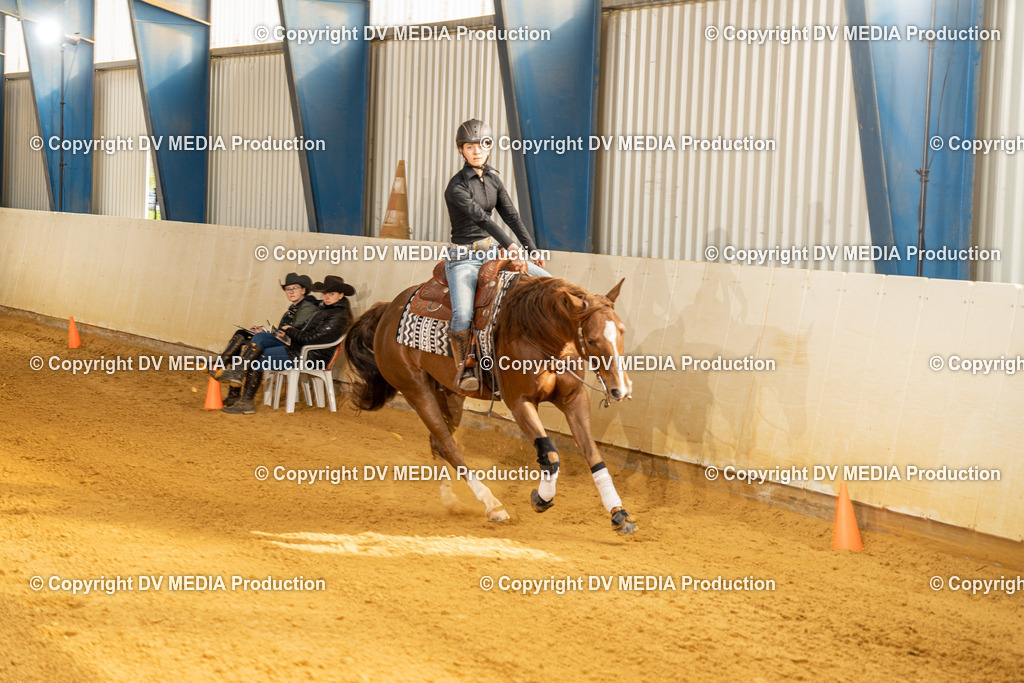 MIT00814 | dv-media-shop - Realisiert mit Pictrs.com