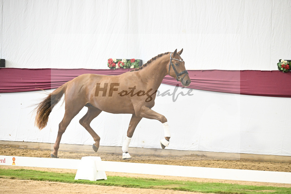 Kat-Nr. 122 Fynch Hatton x De Niro_Wolfgang Reich_47253603 | hf-fotografie - Realisiert mit Pictrs.com