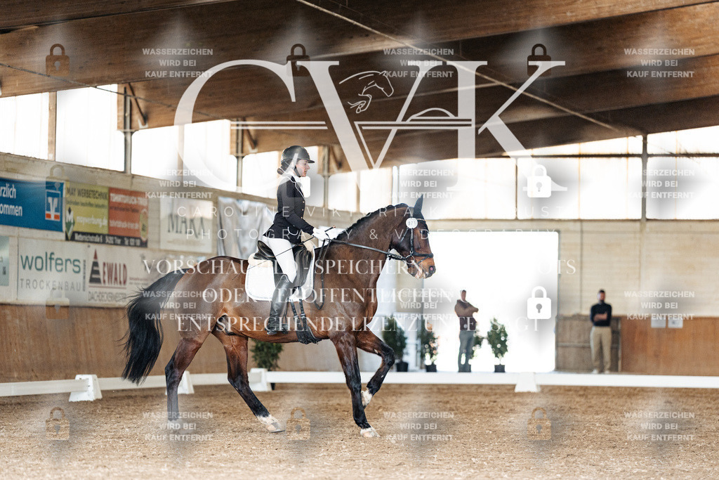 CK901938 | Turnierfotografie Pferdefotografie Trier Rheinland-Pfalz Pferdesport Reitsport Tierfotografie Sportfotografie Pferdevideo Pferdevideografie Equestrianvideography equestrianphotography  - Realisiert mit Pictrs.com