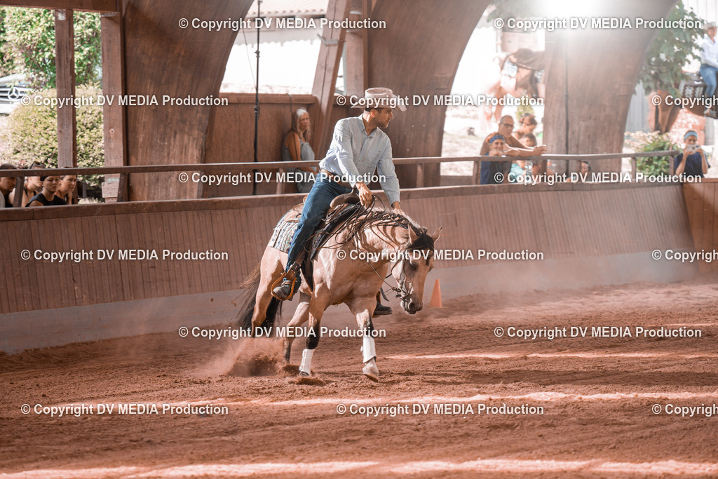 NE300688 | dv-media-shop - Realisiert mit Pictrs.com