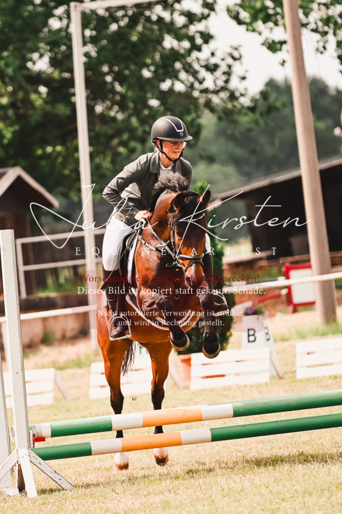 DSC_6907 | Pferde- und Turnierfotografie in Westsachsen. Pferdeportraits, Auftragszeichnungen und intuitive Kunst.