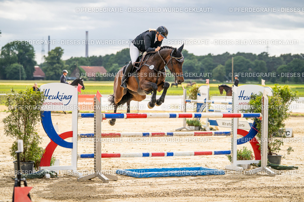 DSC05980 | Pferdegrafie