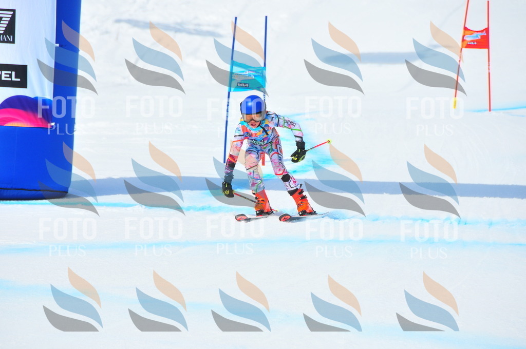 DSC_3301 | holidayphoto