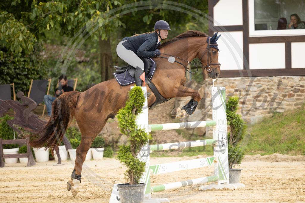 994A9293 | sabrinanicolaifotografie - Realisiert mit Pictrs.com