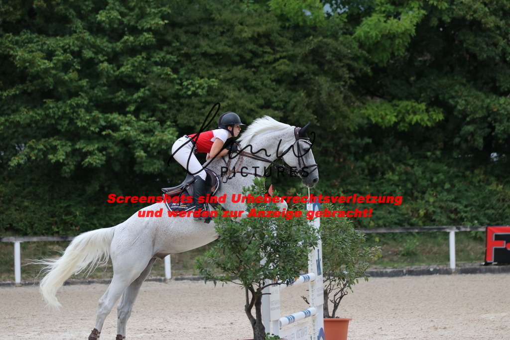 IMG_2986 | lmwpictures - Realisiert mit Pictrs.com