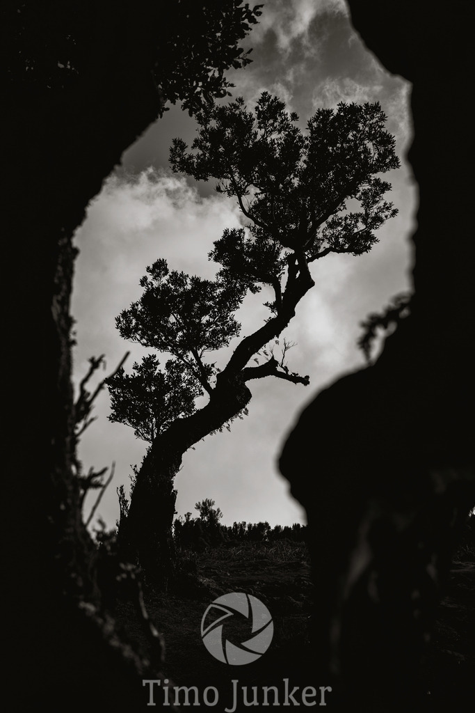 Shop_Landscapes-1856 | junker-foto - Realisiert mit Pictrs.com