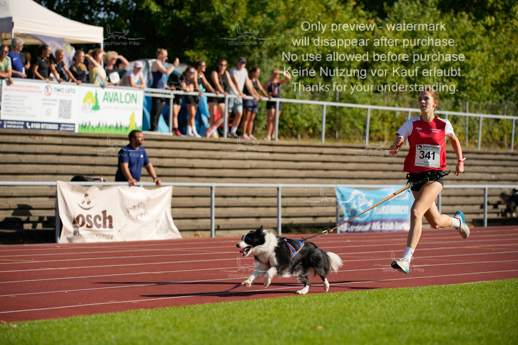 Sonntag_Staffel (37 von 336) | stephaniefillaphotographie - Realisiert mit Pictrs.com