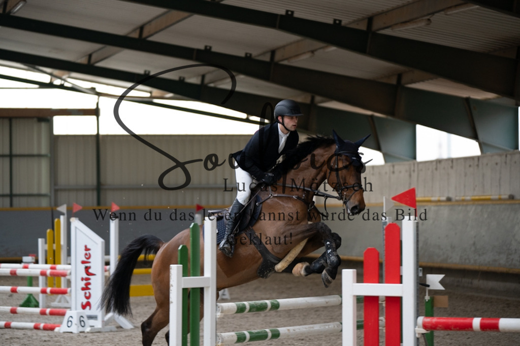 A7V03624 | Pferdefotograf