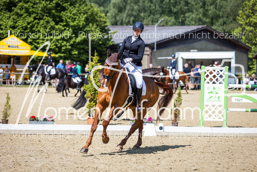 Donop24-L-Dre-068 | MomenTaufnahmen Pferdesportfotos