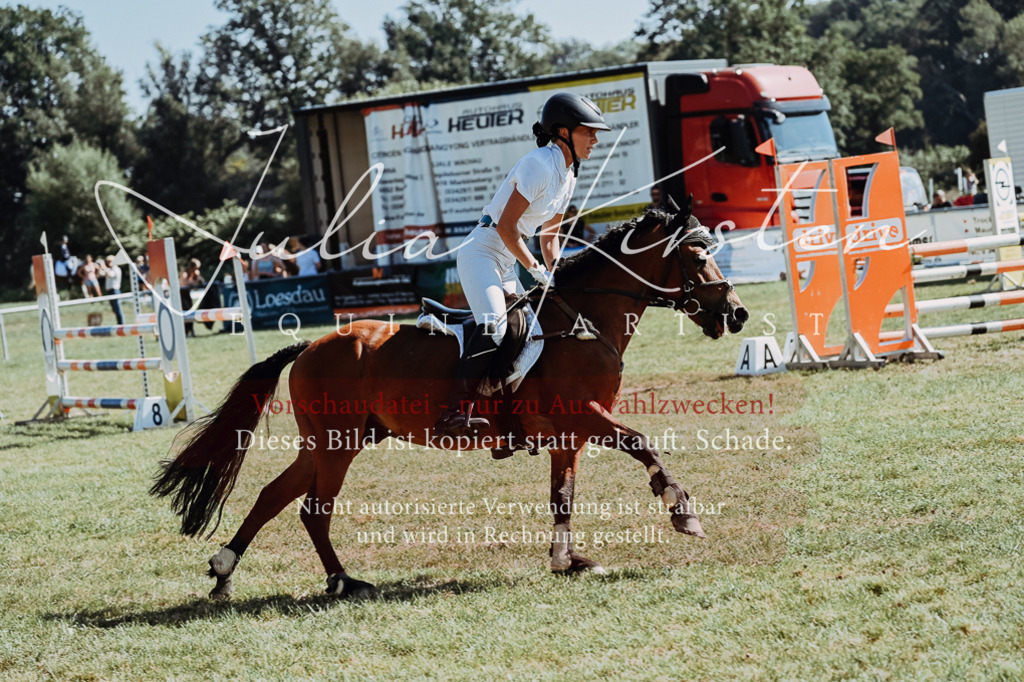 DSC_6166 | Pferde- und Turnierfotografie in Westsachsen. Pferdeportraits, Auftragszeichnungen und intuitive Kunst.