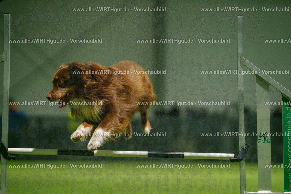 7R509090 | Professionelle Tierfotografie in Mönchengladbach von Daniel Wirth (allesWIRTHgut). Liebevolle & natürliche Bilder von Hunden & Katzen für unvergessliche Erinnerungen.