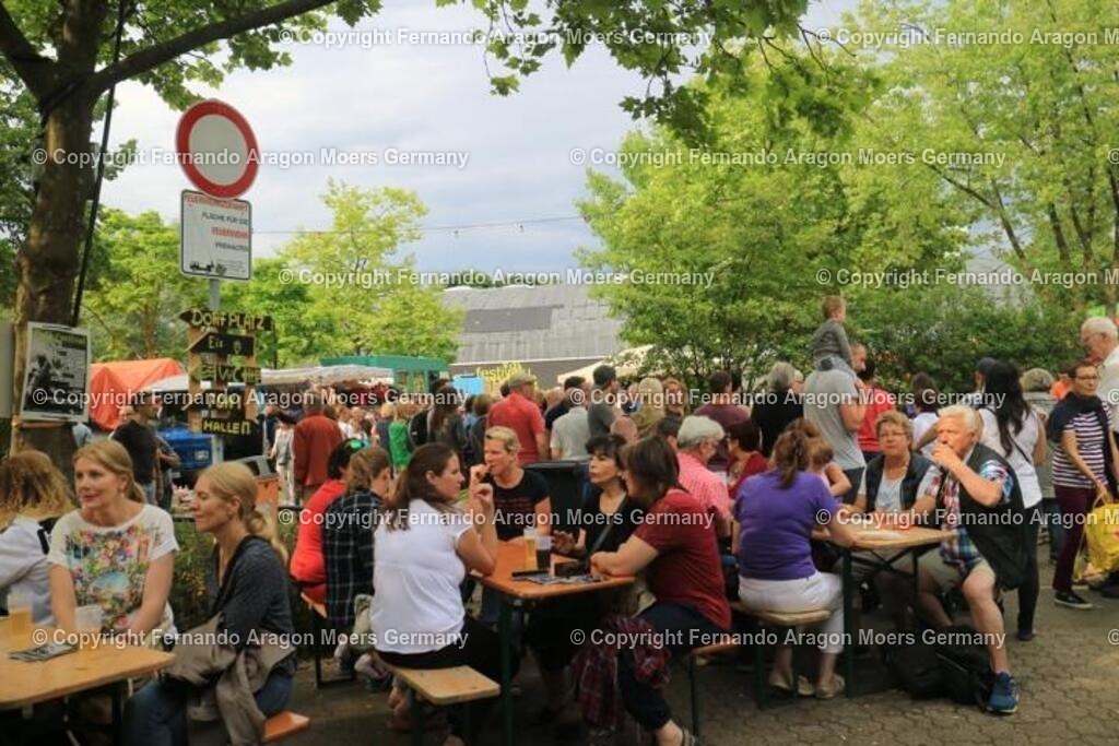 IMG_5042 | aragon-pics - Realisiert mit Pictrs.com