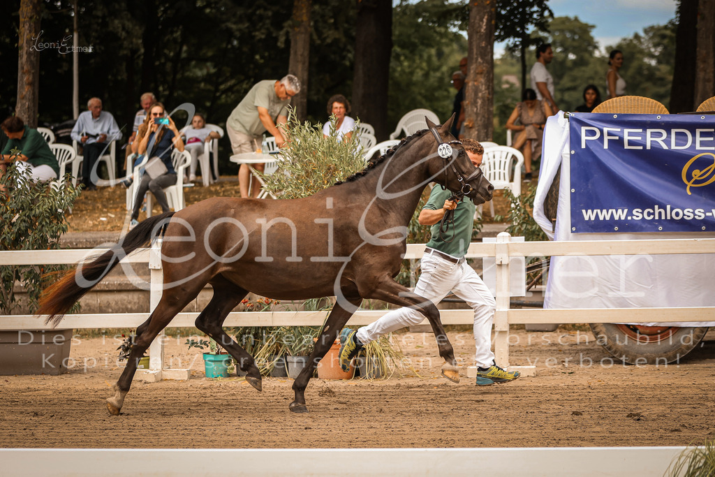 07.So00037 | Leoni Ertmer Photography - Realisiert mit Pictrs.com