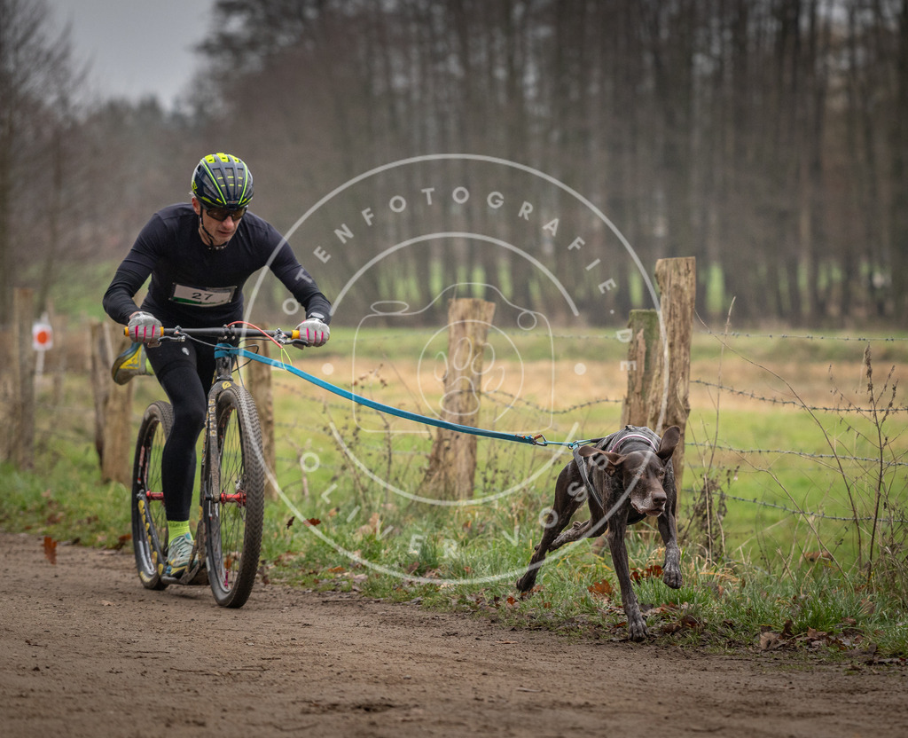 Pfotenfotografie_DV3A2167 | Hundefotografie, Tierfotograf, Pfotenfotografie, Fotoshooting Hund, Hunde Portrait, Hundesport, Hundeportraits, Heideshooting, Hunde, Sportfotograf, Hundefotograf, Turnierhundsport, THS,  - Realisiert mit Pictrs.com